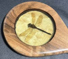 Load image into Gallery viewer, Paddle: Walnut with Birdseye Maple & Dragonfly