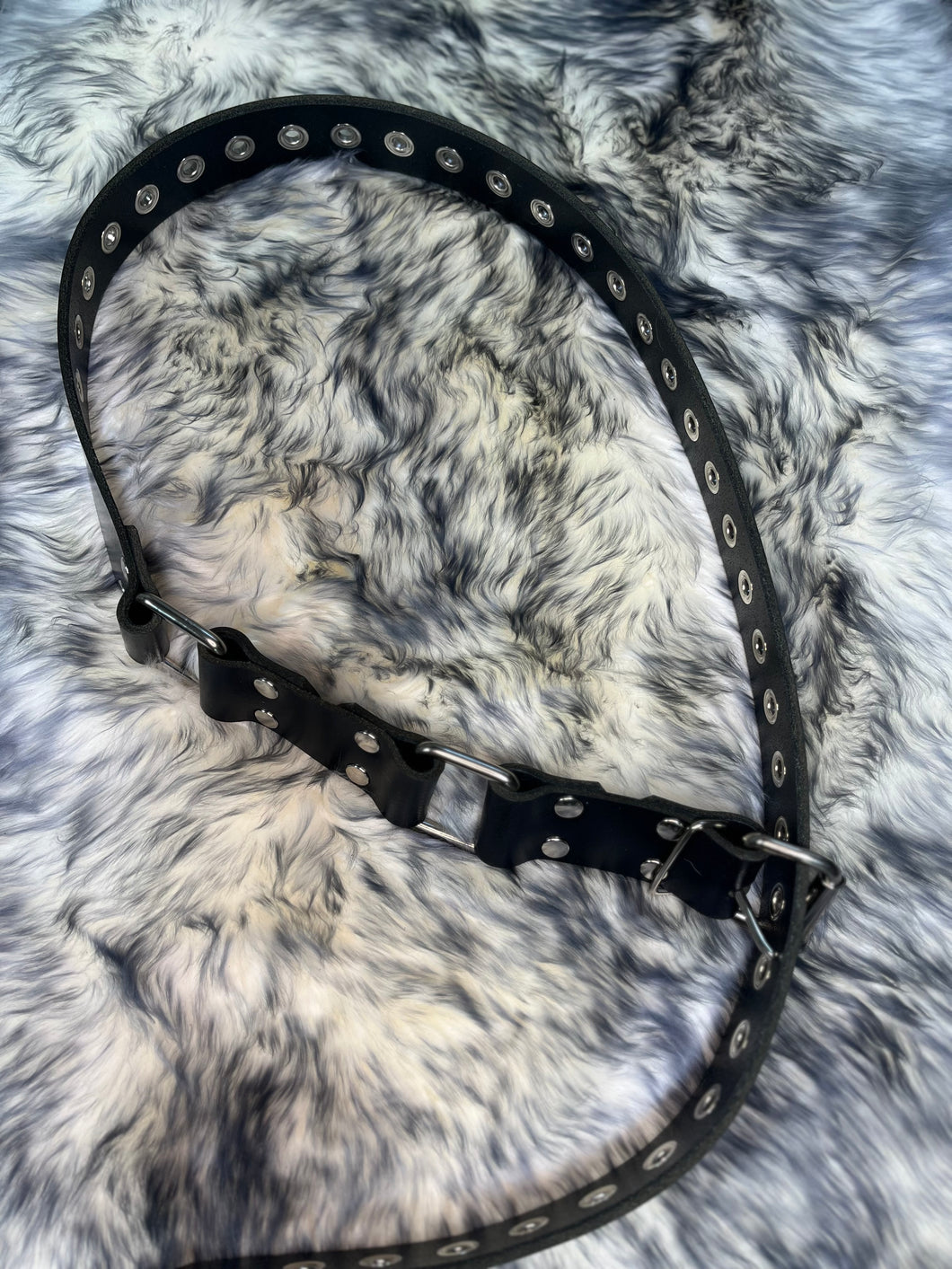 Bondage Belt: Black Leather Buffalo with Grommets