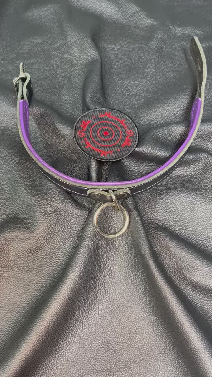 Collar: Black Buffalo with Purple Stitching
